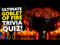J vs Ben: ULTIMATE Goblet of Fire Harry Potter Trivia | HOT WINGS PUNISHMENT