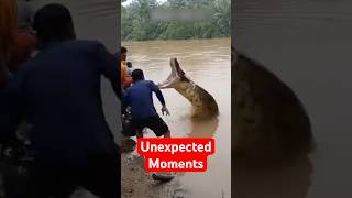 The Most Unexpected Animal Moments Caught On Camera