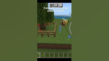 3 animal