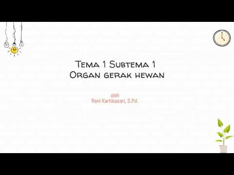 Tema 1 Subtema 1 Organ  Gerak  Hewan  dan  Manusia YouTube