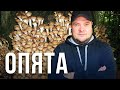 ВСЁ ОБ ОПЯТАХ. ОТ СБОРКИ ДО ПРИГОТОВЛЕНИЯ