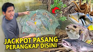 JACKPOT PASANG PERANGKAP DI MUARA HUTAN BAKAU! DAPET IKAN ANEH-ANEH! PASANG SEMALEMAN!