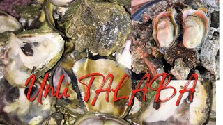 Unli Talaba At Tahong Resimi