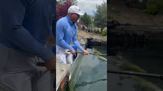 Legendary Mariano Rivera Handpicking Koi at Our Store