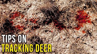Beginner Tips for Tracking Deer screenshot 2