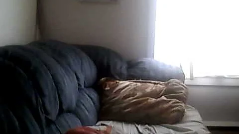 a video to make u happy