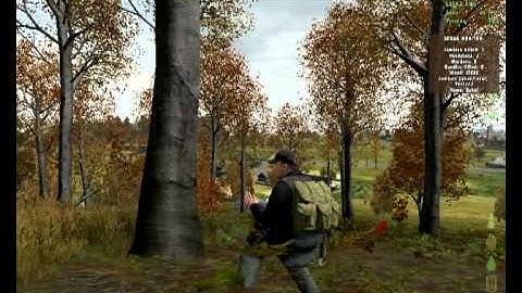 DayZ, What happens when hackers get bored.