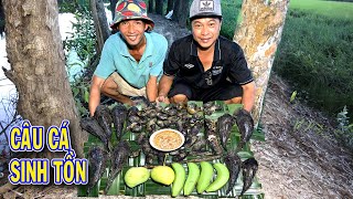 Câu Cá Sinh Tồn Ngoài Đồng - Bắt Cá Nướng Tại Chỗ Đậm Chất Miền Tây/Fishing & Cooking/NGÃ NĂM TV