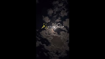 ما تيسر من سورة النمل #قرآن كريم