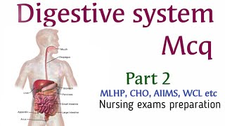 Digestive system MCQ || Part 2