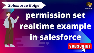 permission set realtime example | salesforce bulge | salesforce security modal | learn salesforce