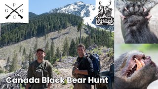 Gunsight Peak Outfitters | Hunting BLACK BEARS in the Wilderness of British Columbia