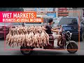 Investigation animal equality reveals chinas wet markets continue to operate