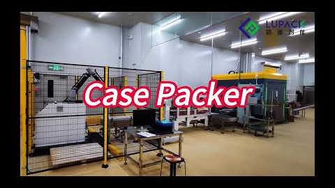 Box Case Packer #packagingmachine #packaging #casepacker #chinafactory