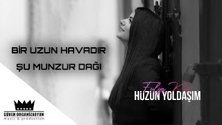 Fulya Koç - Bir Uzun Havadır Şu Munzur Dağı Resimi