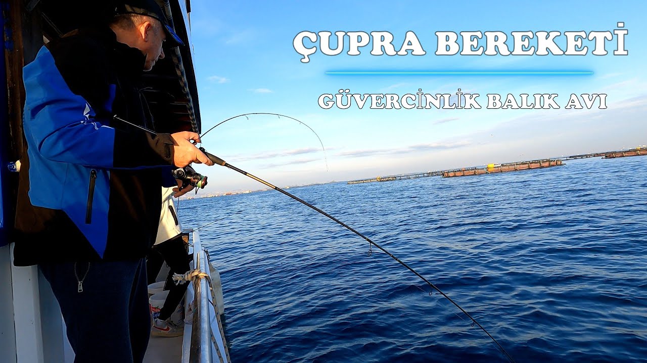 BODRUM’DA ÇUPRA BEREKETİ! (GÜVERCİNLİK BALIK AVI)