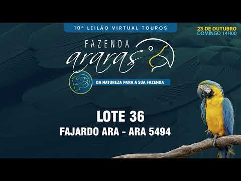 LOTE 36   ARA 5494