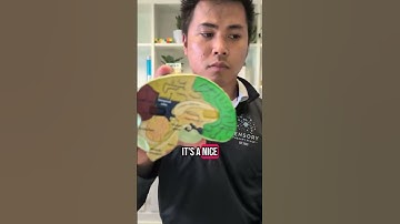 What is Primitive Reflexes?