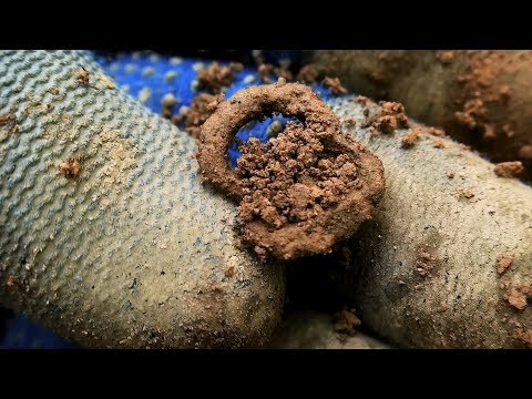 The Lovely Find - Metal Detecting Under Time Pressure