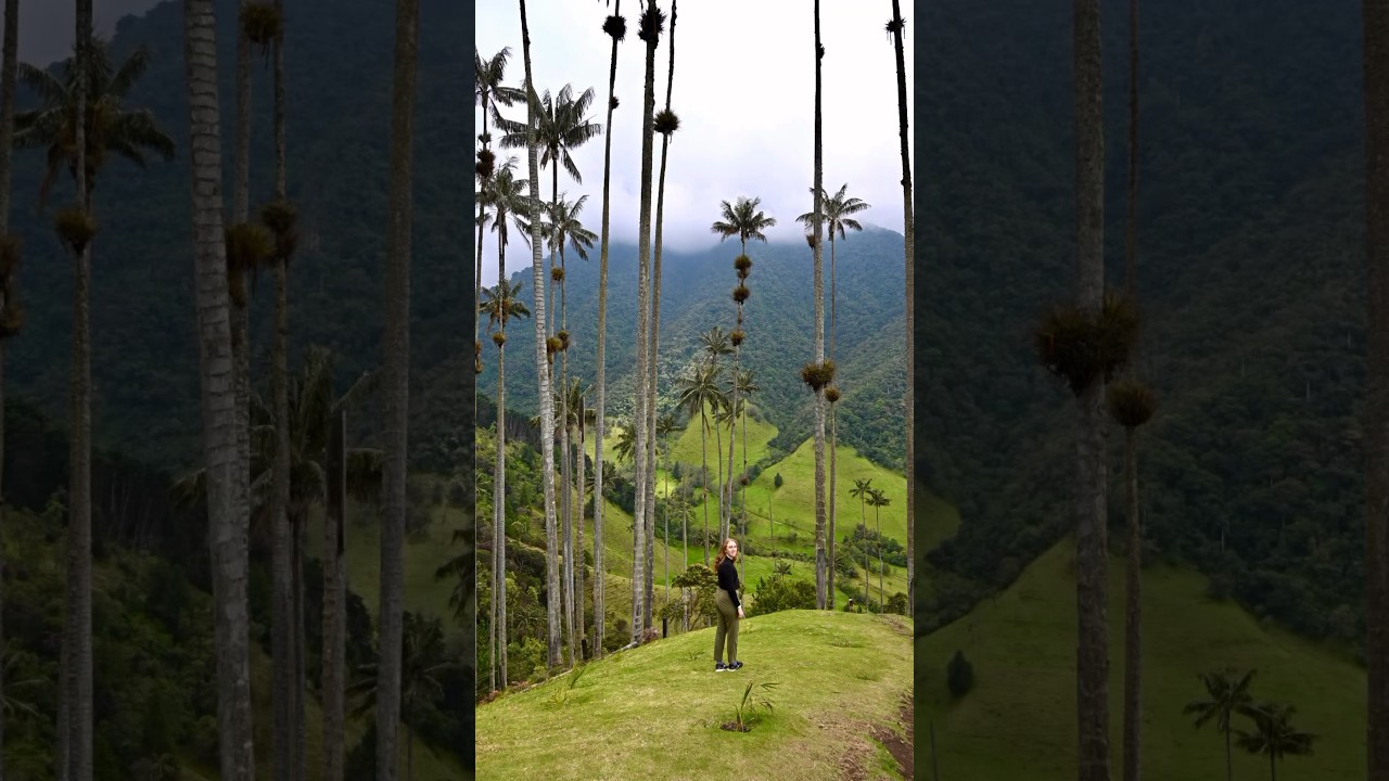 Photos from around Colombia 🇨🇴 Exploring Colombia through my lens 