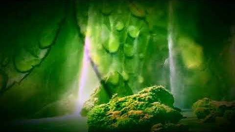 ACIM LESSON 317. I follow in the way appointed me.