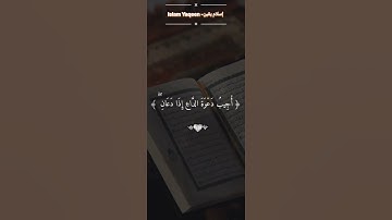 تلاوة خاشعة البقرة للشيخ ماهر المعيقلي#البقرة #المعيقلي #قرآن #islam_yaqeen