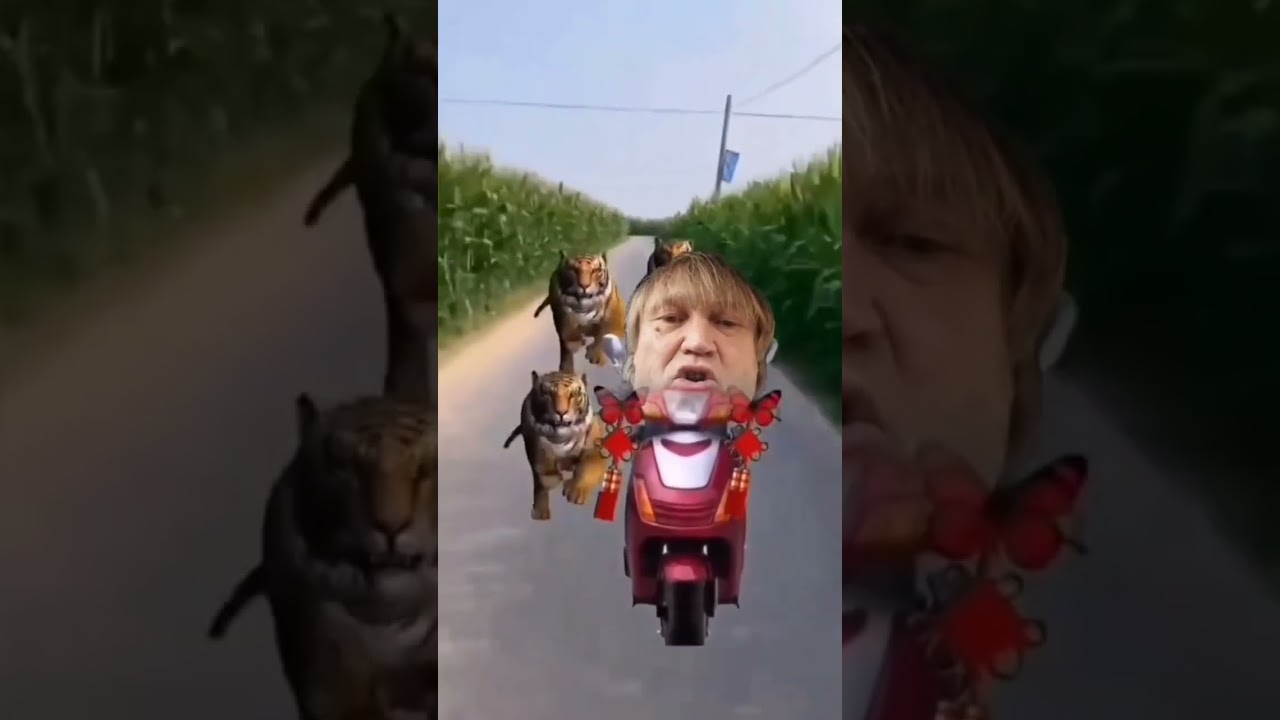 килограмм гавна 