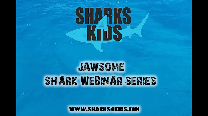 Saving Ocean Giants from Extinction with Dr Andrea...