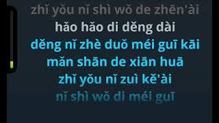 你是我的玫瑰花 ni shi wo de mei gui hua - karaoke male