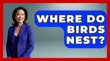 Where Do Birds Nest? - Insects and Invaders