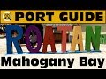 Port Guide: Mahogany Bay, Roatan - Everything We Think You Should Know Before You Go! - ParoDeeJay