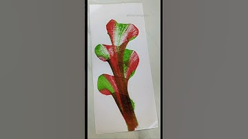 DIY THREAD ART ✨ String Pull Art 🩷 #shorts #paintingideas #easy #watercolor #thread #ytshorts