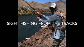 Fly Fishing the Beaverhead River, Montana