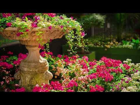 찬송가 75장 주여 우리 무리를  God, be Merciful to Us