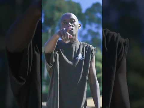 Tug Of War Huha Seal J 