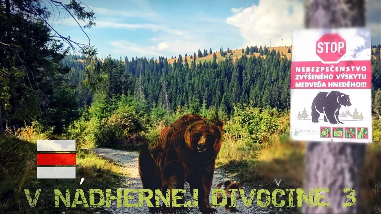 V NÁDHERNEJ DIVOČINE 3 / DOBŠINSKÝ KOPEC - TELGÁRT / CESTA HRDINOV SNP