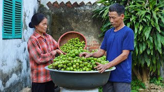 Traditional Pickled Figs: A Vietnamese Preservation Method, Peaceful Morning in the Countryside