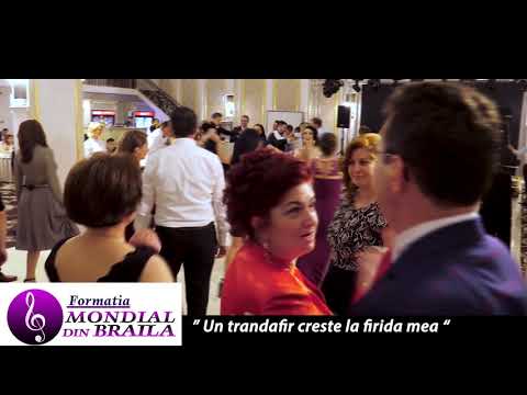 Formatia MONDIAL din Braila 2018 - Un trandafir cresti la firida