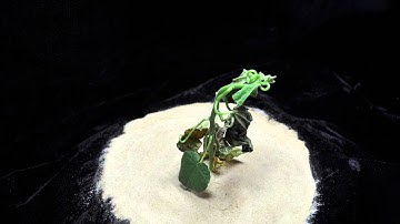 x4 2,4-D (SOA 4) velvetleaf angle 1