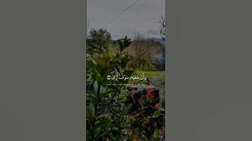 وأن ليس للإنسان إلا ما سعى 💚 القارئ محمد صديق المنشاوي