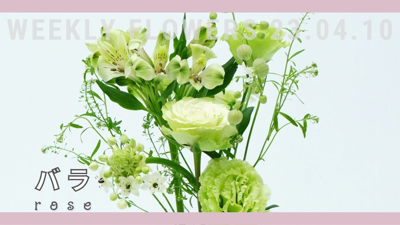 緑色に染まる花庭の一隅を切り取ったフレームアレンジ maxresdefault.jpg