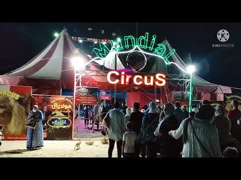 مصيف اسكندرية عروض السيرك الايطالى بخصم ٥٠ هنا وبس مصيف مرسى مطروح