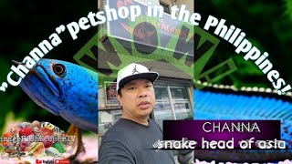 Channas petshop in the Philippines!