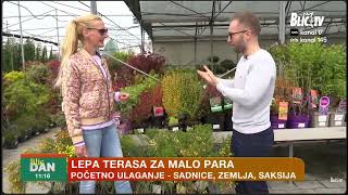 Flora shop na Blic TV: Saveti za odabir i negu najlepših sadnica