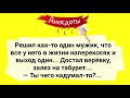 10 Анекдотов о Смысле Жизни, Которые Должен Услышать Каждый!