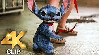 Dogs Can't Talk Scene | LILO AND STITCH (2025) MOVIE CLIP 4K