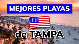 Las 3 mejores PLAYAS en TAMPA Florida Estados Unidos