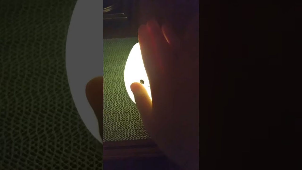 EggCat TURNS INTO A LAMP