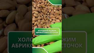 Як роблять абрикосову олію? Холодний віджим | CraftOil #абрикосоваолія #холоднийвіджим #shorts