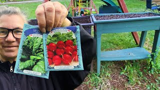 Planting Spinach and Radish Seeds in Container Garden